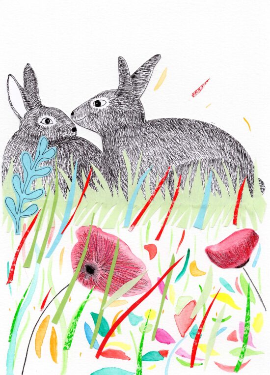 projet Lapin - aquarelle, crayon, collage